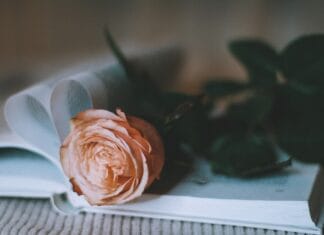 Romans w cieniu zamku