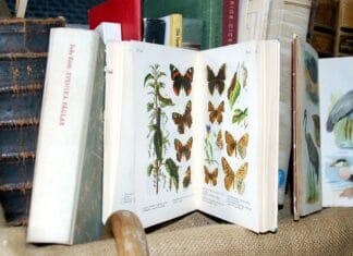 Wasze ulubione serie – top lista czytelniczek bloga