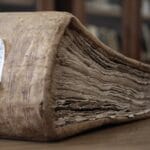 Czy da się go nie kochać? Sprawdź!